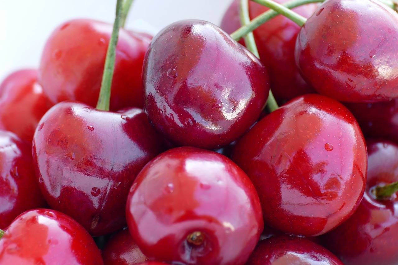 Xtrema Fruit será online|Xtrema Fruit se celebrará online